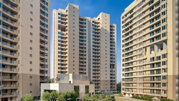 Irish Project Noida